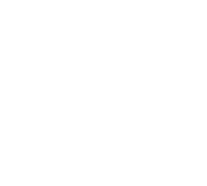 Ibis care logo reverse