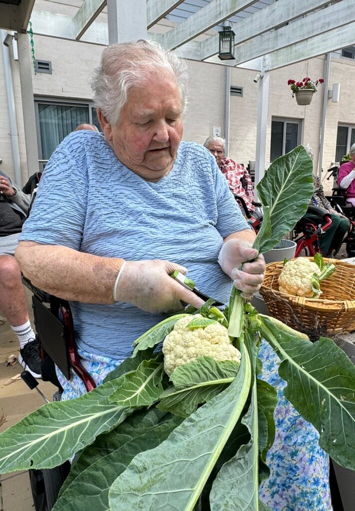 Ibis Care aged care
